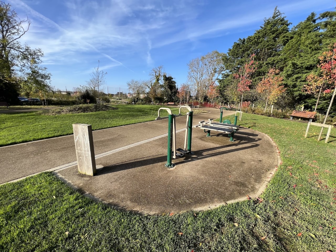 Mini Calisthenics Park — Gym - photo 3