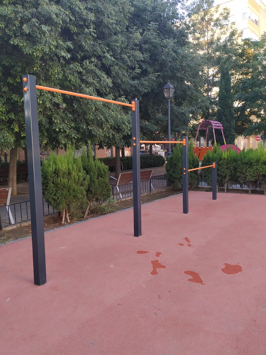 Liegestützgriffe bei Calisthenics Park at Carrer de Salabert, València – Foto 3 von 4