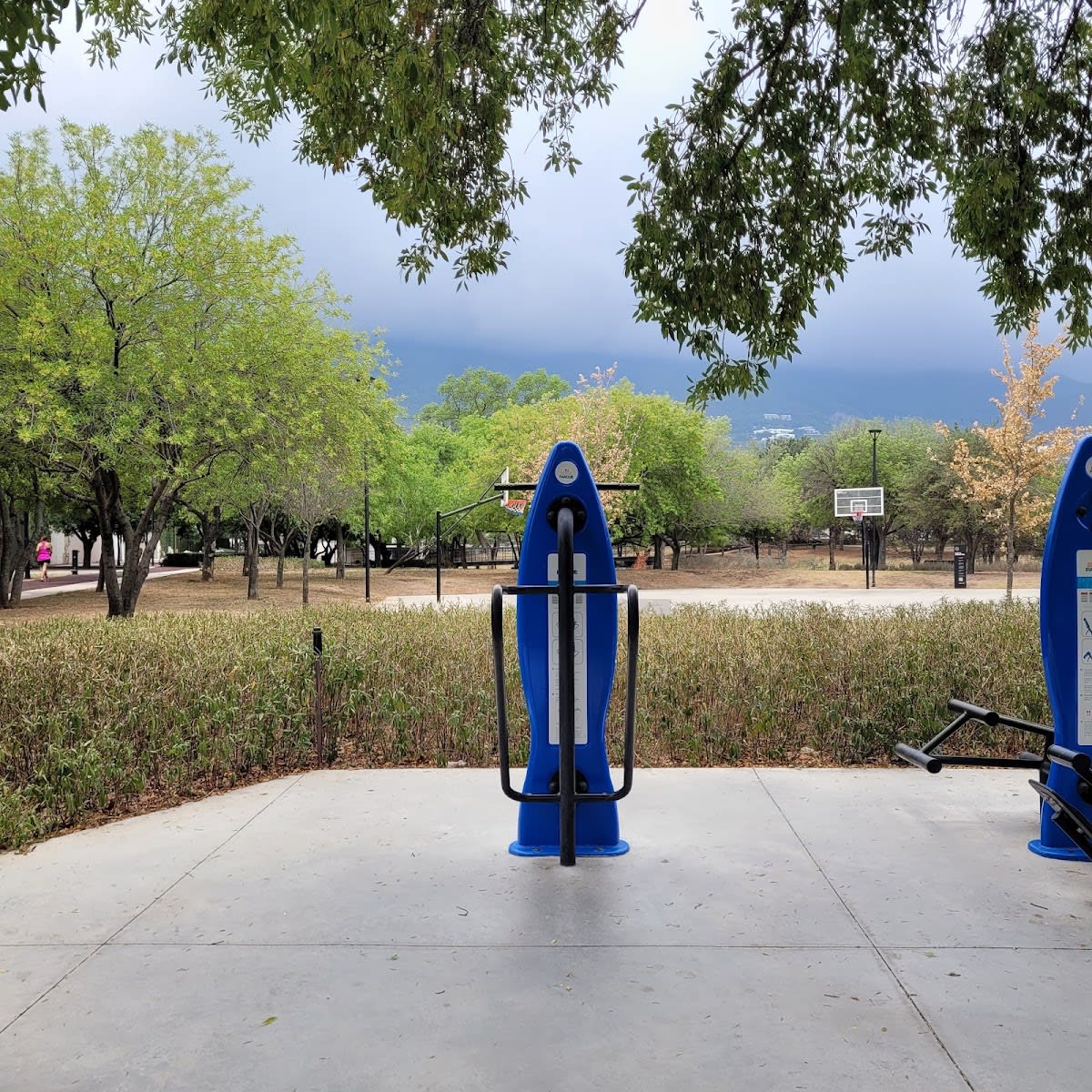 Wall Bars at Calisthenics Park at Calle Bosques de los Pirineos, San Pedro Garza García – photo 3 of 3
