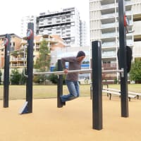 Jubilee Park
Jubilee Park in Parramatta has become a great destination for the community, with an UrbanFiT outdoor gym. - thumbnail 3