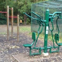 Highgate Wood - thumbnail 3