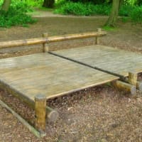 Highgate Wood - thumbnail 4