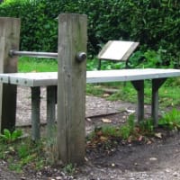 Battersea Park - thumbnail 5