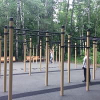 Calisthenics Park at Reebok crossfit, Москва - thumbnail 4