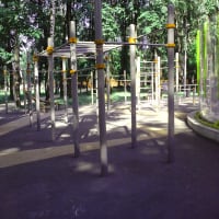 Calisthenics Park at Янтарный проезд, Москва - thumbnail 3