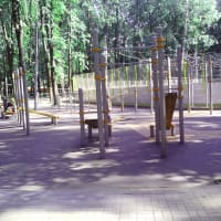 Calisthenics Park at Янтарный проезд, Москва - thumbnail 4