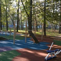 Calisthenics Park at Большая Филёвская улица, Москва - thumbnail 2