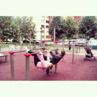 Calisthenics Park at Яхтенная улица, Санкт-Петербург - thumbnail 8