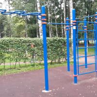 Calisthenics Park at Кузнецовская улица, Санкт-Петербург - thumbnail 9