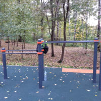Calisthenics Park at Череповецкая улица, Москва - thumbnail 3