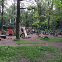 Calisthenics Park at Воркаут Тимирязевский, Москва - thumbnail 3