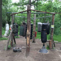 Calisthenics Park at Воркаут Тимирязевский, Москва - thumbnail 2