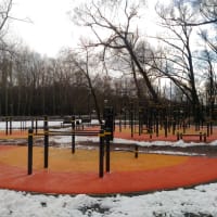 Calisthenics Park at аллея Жемчуговой, Москва - thumbnail 2