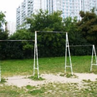 Calisthenics Park at улица Маршала Захарова, Москва - thumbnail 2