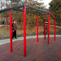 Calisthenics Park at Липовая аллея, городской округ Новосибирск - thumbnail 3