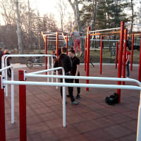 Calisthenics Park at Липовая аллея, городской округ Новосибирск - thumbnail 8