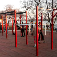 Calisthenics Park at Липовая аллея, городской округ Новосибирск - thumbnail 4