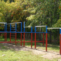 Calisthenics Park at улица Советской Армии, Рязань - thumbnail 12