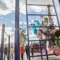 Calisthenics Park at Парковая улица, Балашиха - thumbnail 3