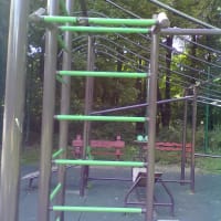 Calisthenics Park at улица Юности, Москва #wp1497 - thumbnail 4