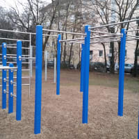 Parc de callisthénie #wp1521 - thumbnail 2