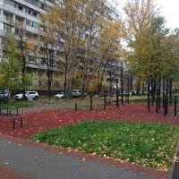 Calisthenics Park at Таллинская улица, Москва - thumbnail 2