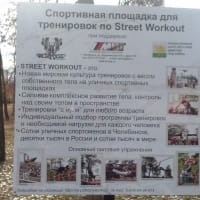 Calisthenics Park at Красная улица, Челябинск - thumbnail 2