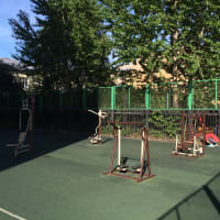 Calisthenics Park at улица Лизы Чайкиной, Санкт-Петербург - thumbnail 4