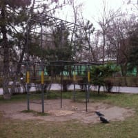 Calisthenics Park at площадь Толстого, Ростов-на-Дону - thumbnail 2
