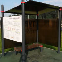 Calisthenics Park at FlipFly, Мытищи - thumbnail 3