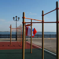 Calisthenics Park at улица Чернышевского, Саратов - thumbnail 2
