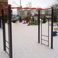 Calisthenics Park at Центральная улица, Химки - thumbnail 2