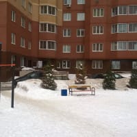 Calisthenics Park at Центральная улица, Химки - thumbnail 4