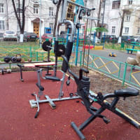 Calisthenics Park at набережная Тараса Шевченко, Москва - thumbnail 3