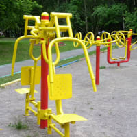 Calisthenics Park at улица Архитектора Власова, Москва - thumbnail 2