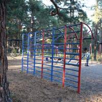 Calisthenics Park at Лесопарковая улица, Челябинск #wp1723 - thumbnail 3