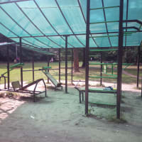 Calisthenics Park at Никольский тупик, Москва #wp1735 - thumbnail 3
