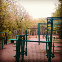 Calisthenics Park at Живописная улица, Москва - thumbnail 2