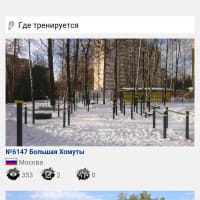 Calisthenics Park at Смольная улица, Москва - thumbnail 9