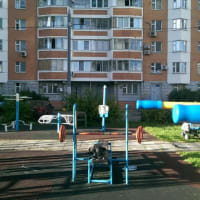 Calisthenics Park at проектируемый проезд № 6263, Москва - thumbnail 2