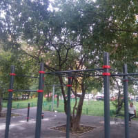 Calisthenics Park at Большая Академическая улица, Москва #wp1794 - thumbnail 2