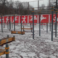 Calisthenics Park at Спортивный комплекс «Родина», Химки - thumbnail 8