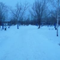 Calisthenics Park #wp1817 - thumbnail 2