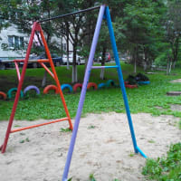 Calisthenics Park at Океанский проспект, Владивосток - thumbnail 2