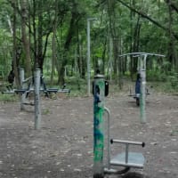 Calisthenics Park at Базовская улица, Москва - thumbnail 6
