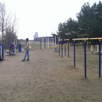 Calisthenics Park at аллея Дорога Жизни, Москва - thumbnail 5