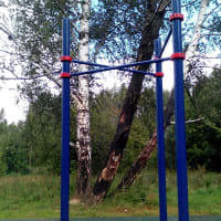 Calisthenics Park at аллея Дорога Жизни, Москва #wp1897 - thumbnail 6