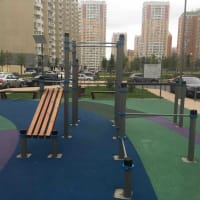 Calisthenics Park at улица Бианки, Московский - thumbnail 4
