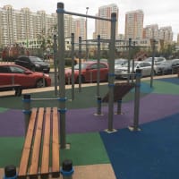 Calisthenics Park at улица Бианки, Московский - thumbnail 3