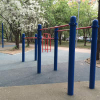 Calisthenics Park at Большая Академическая улица, Москва #wp1988 - thumbnail 4